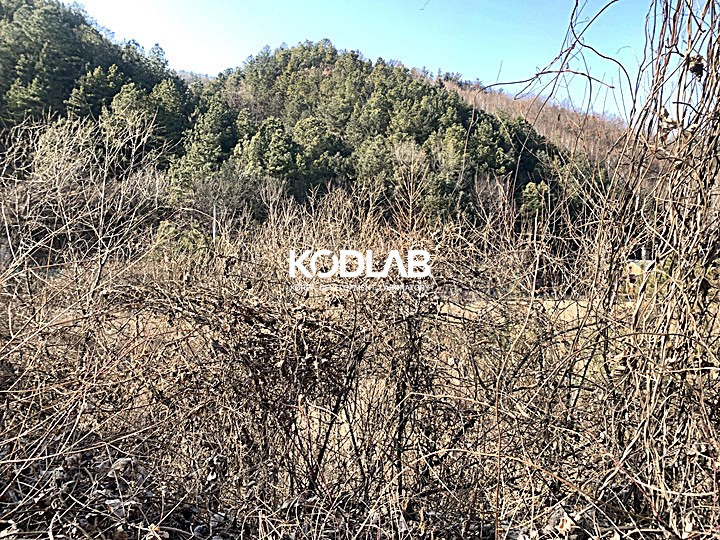 경기 양평군 양동면 금왕리 남향에 지방도로가 가까워 진출입이 용이한 양동면 토지 매매 매물번호 11574 사진 18