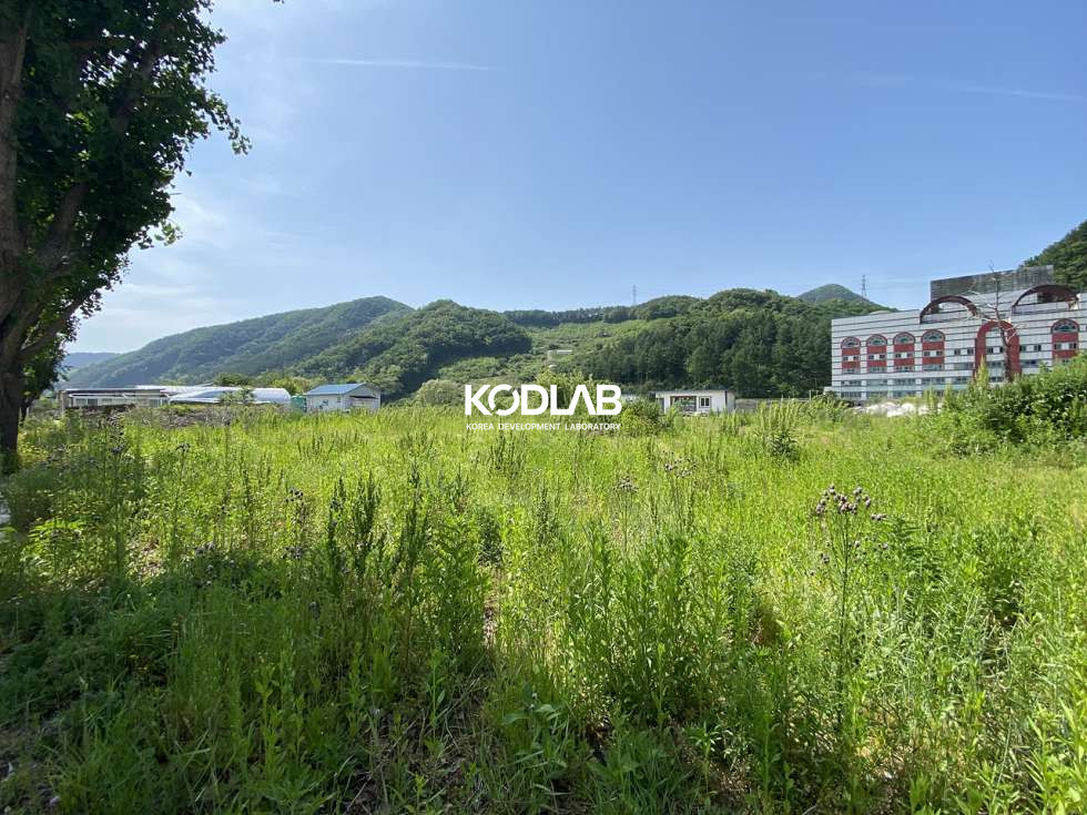 경기 양평군 용문면 2차선 인접한 평당 250만원, 용문 토지 분할매매 매매 매물번호 11498 사진 15