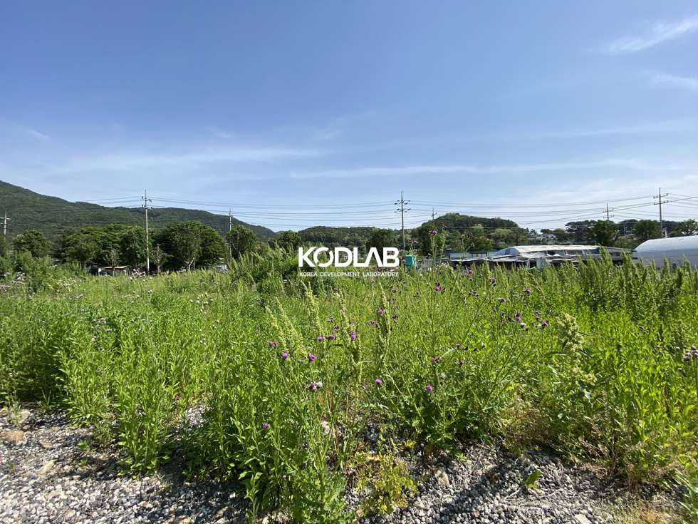 경기 양평군 용문면 2차선 인접한 평당 250만원, 용문 토지 분할매매 매매 매물번호 11498 사진 18