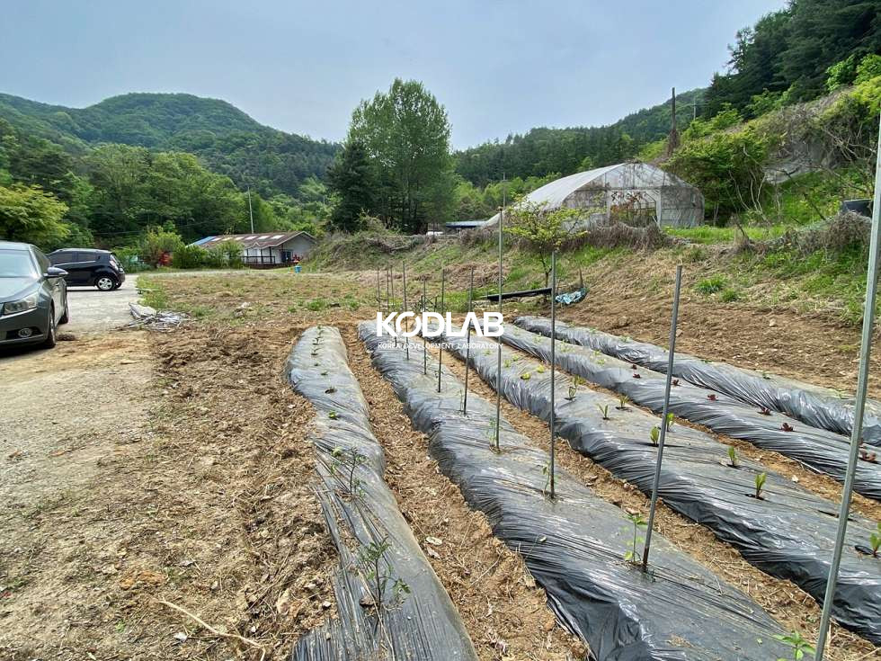 경기 양평군 지평면 옥현리 저수지 인접한 야외수영장 있는 현 펜션건물, 깨끗하게 관리되고 있는 위치 매매 매물번호 11453 사진 5