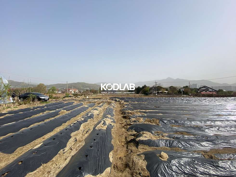 경기 양평군 강상면 병산리 남양평IC 가까운 병산리 토지, 2차선 도로에서 가까운 위치 매매 매물번호 11357 사진 13