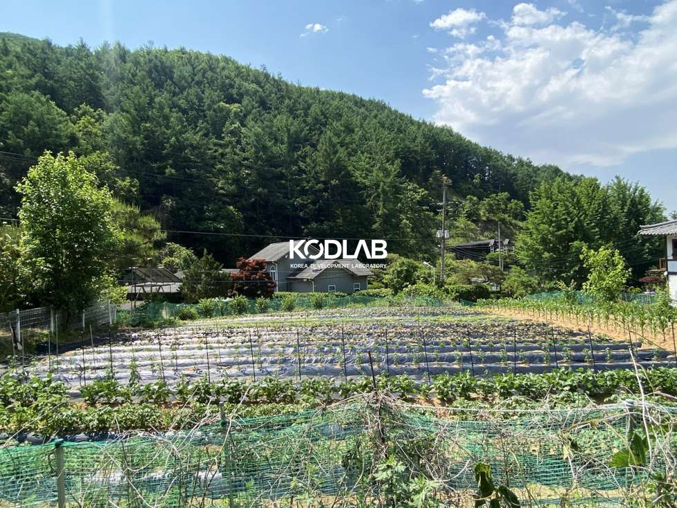 경기 양평군 서종면 문호리 서종면 직사각 가까운 활용도 높은 토지 매매 매물번호 10487 사진 1