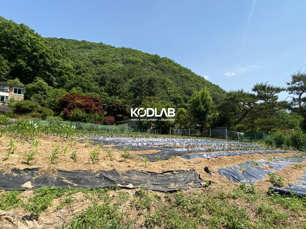 경기 양평군 서종면 문호리 서종면 직사각 가까운 활용도 높은 토지 매매 매물번호 10487 사진 11