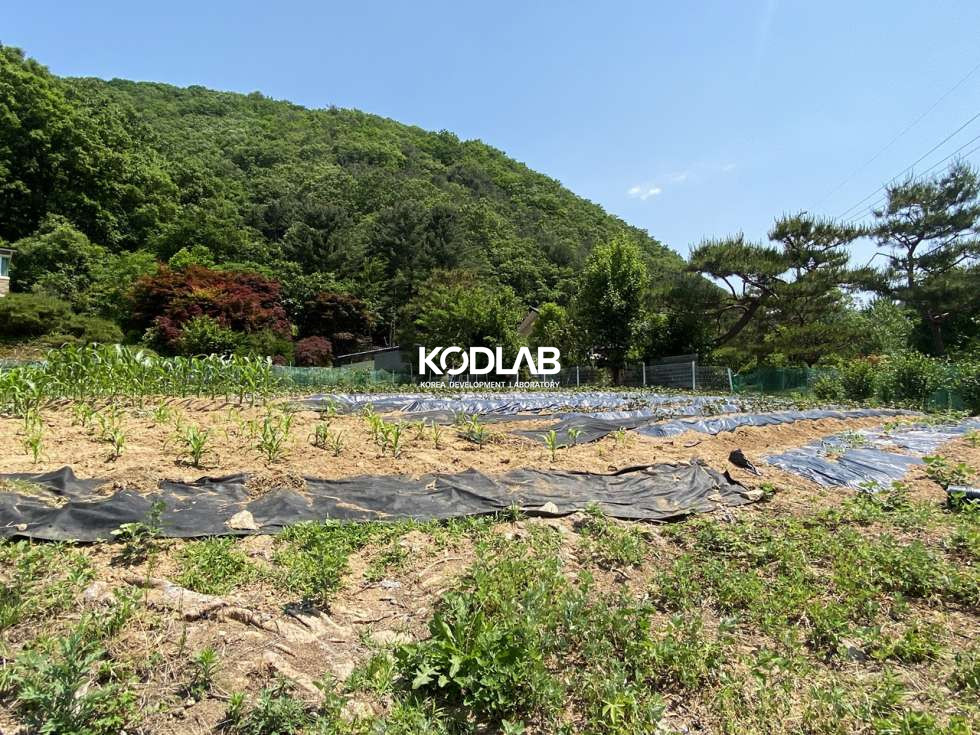경기 양평군 서종면 문호리 서종면 직사각 가까운 활용도 높은 토지 매매 매물번호 10487 사진 12
