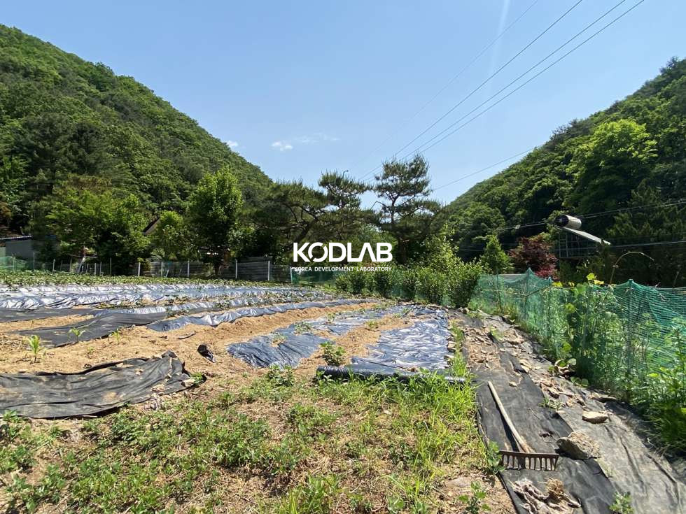 경기 양평군 서종면 문호리 서종면 직사각 가까운 활용도 높은 토지 매매 매물번호 10487 사진 13