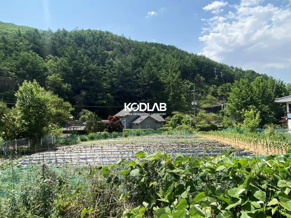 경기 양평군 서종면 문호리 서종면 직사각 가까운 활용도 높은 토지 매매 매물번호 10487 사진 14