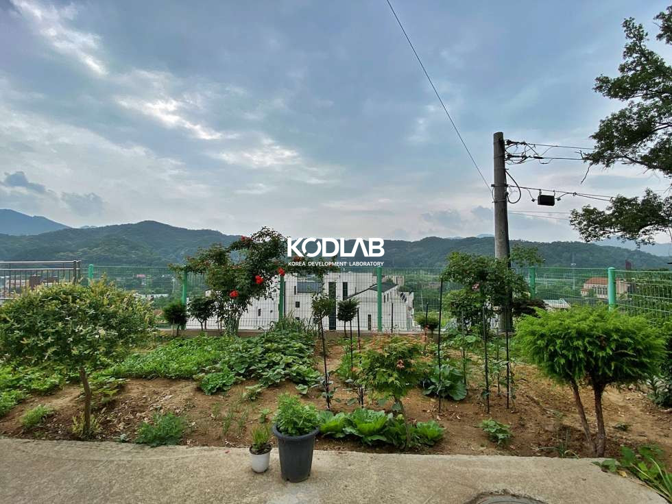 경기 양평군 양서면 용담리 임대수익이 가능한 양수역 도보가능 다세대주택 매매 매물번호 10493 사진 3