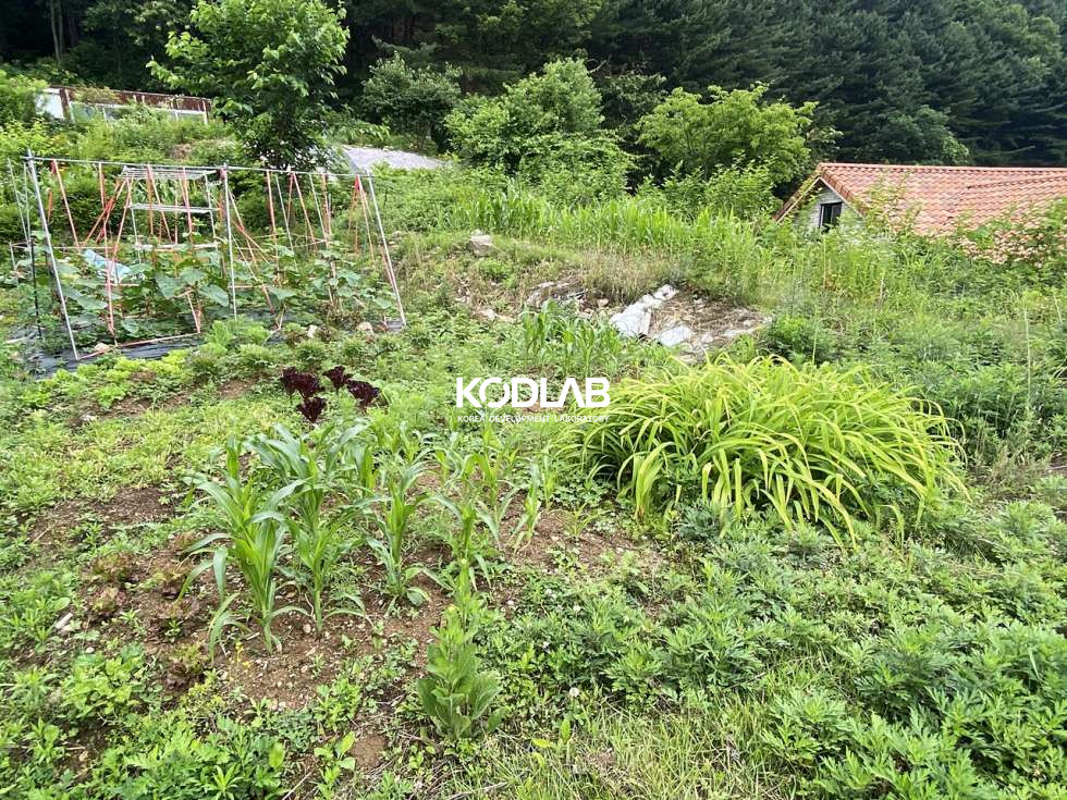 경기 양평군 서종면 수능리 대지, 계획관리지역,서종면 수능리 현재 밭으로 사용중인 토지 매매 매물번호 11331 사진 1