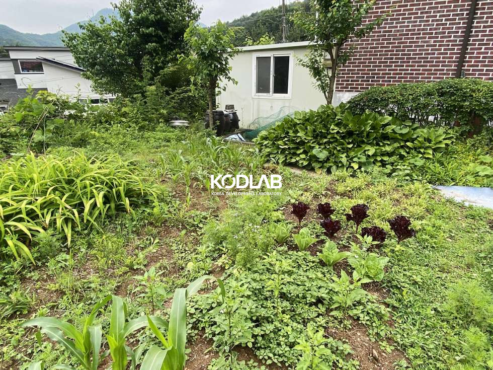 경기 양평군 서종면 수능리 대지, 계획관리지역,서종면 수능리 현재 밭으로 사용중인 토지 매매 매물번호 11331 사진 13
