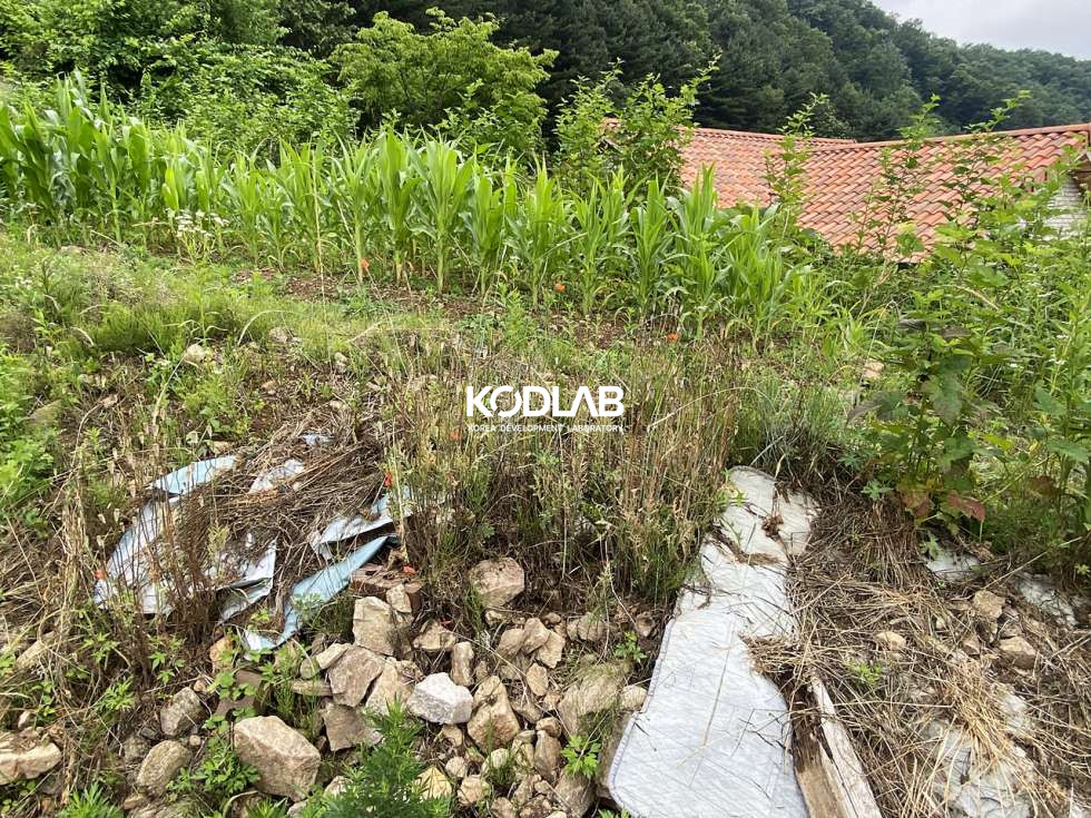 경기 양평군 서종면 수능리 대지, 계획관리지역,서종면 수능리 현재 밭으로 사용중인 토지 매매 매물번호 11331 사진 19