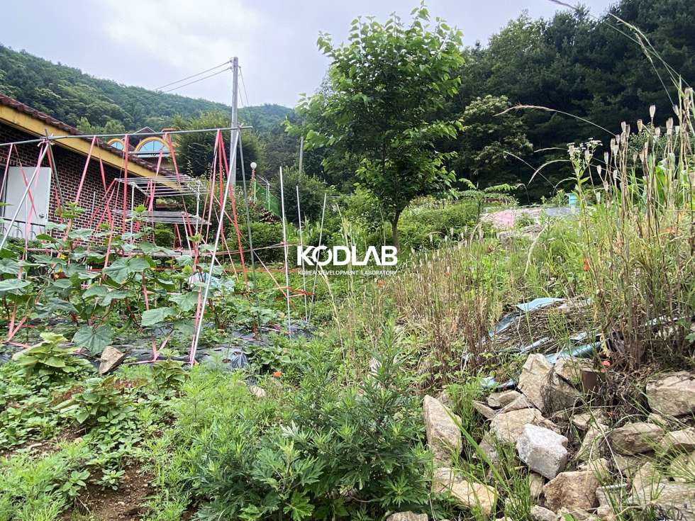 경기 양평군 서종면 수능리 대지, 계획관리지역,서종면 수능리 현재 밭으로 사용중인 토지 매매 매물번호 11331 사진 24