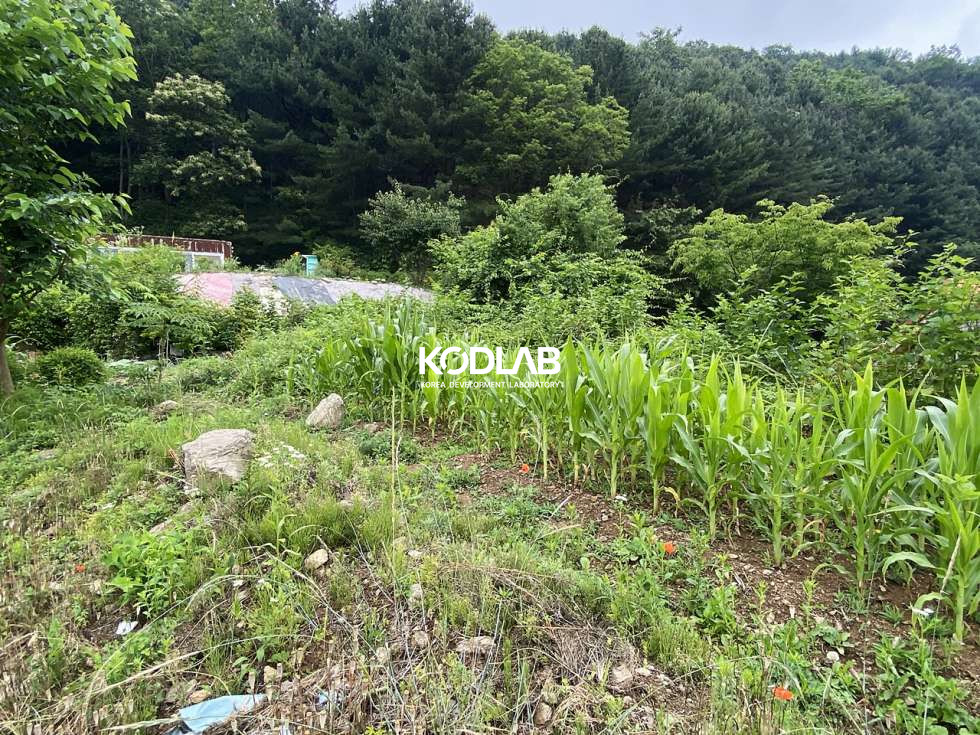 경기 양평군 서종면 수능리 대지, 계획관리지역,서종면 수능리 현재 밭으로 사용중인 토지 매매 매물번호 11331 사진 25
