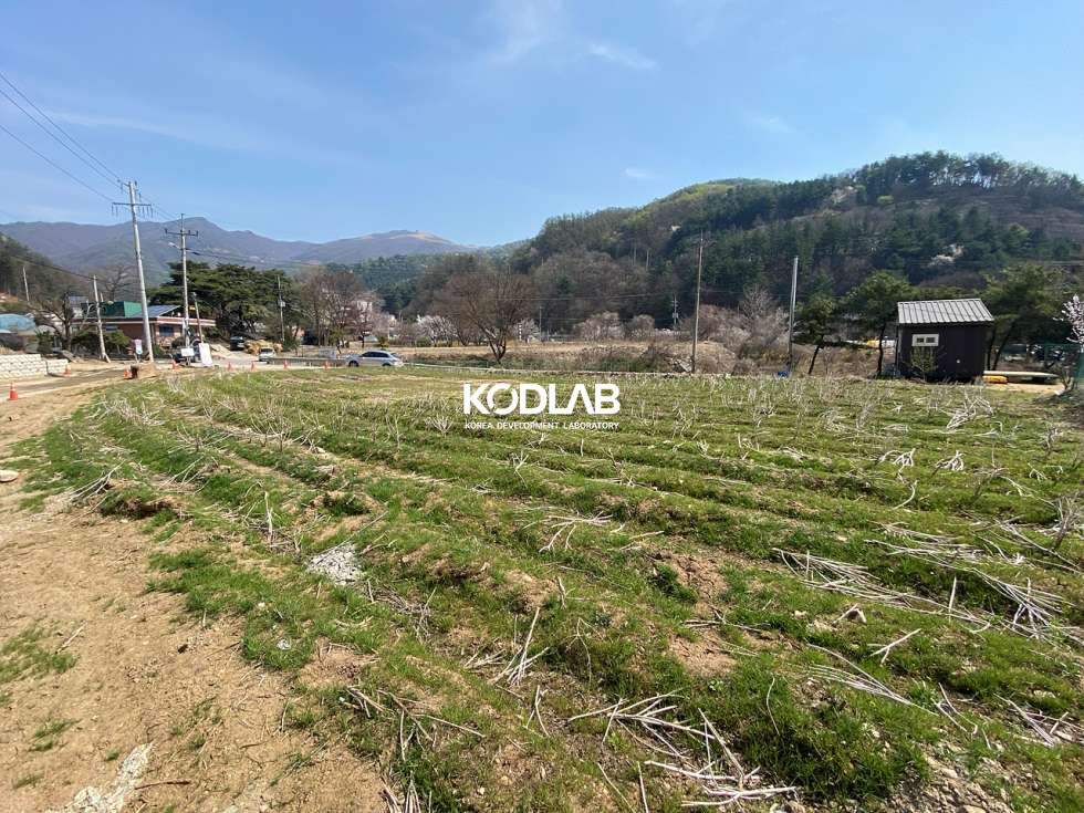경기 양평군 옥천면 신복리 옥천면 생활권 6분, 도로 접해있는 평지, 계획관리토지 매매 매물번호 11304 사진 11