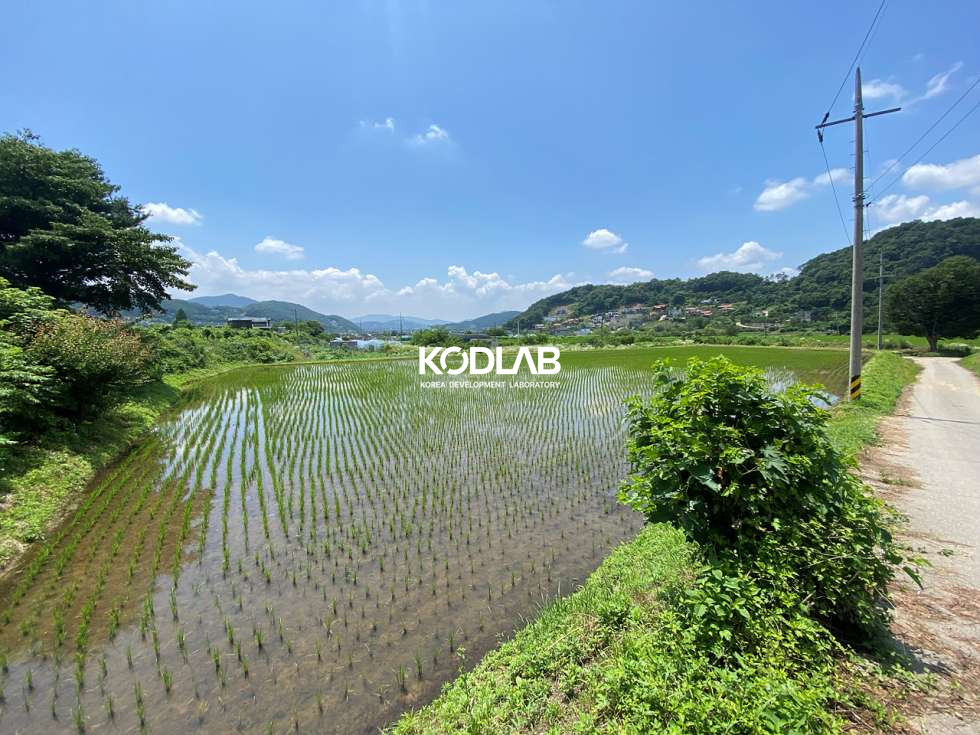 경기 양평군 옥천면 옥천리 평당 70만원, 옥천리 토지 700평 시세보다 저렴한 토지 매매 매물번호 11762 사진 1