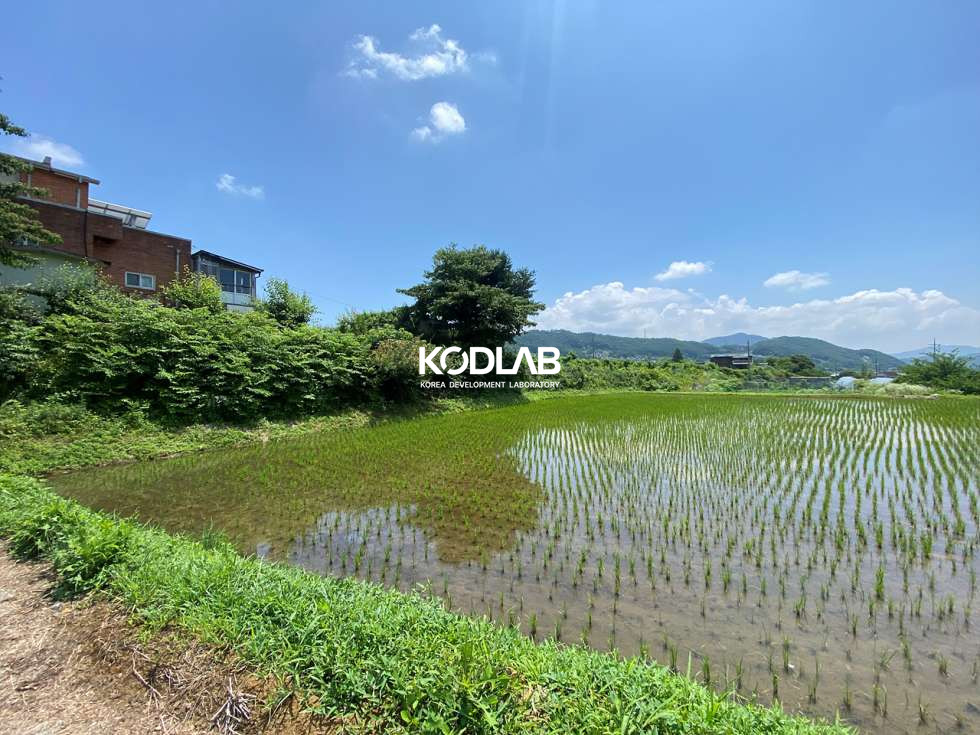 경기 양평군 옥천면 옥천리 평당 70만원, 옥천리 토지 700평 시세보다 저렴한 토지 매매 매물번호 11762 사진 3