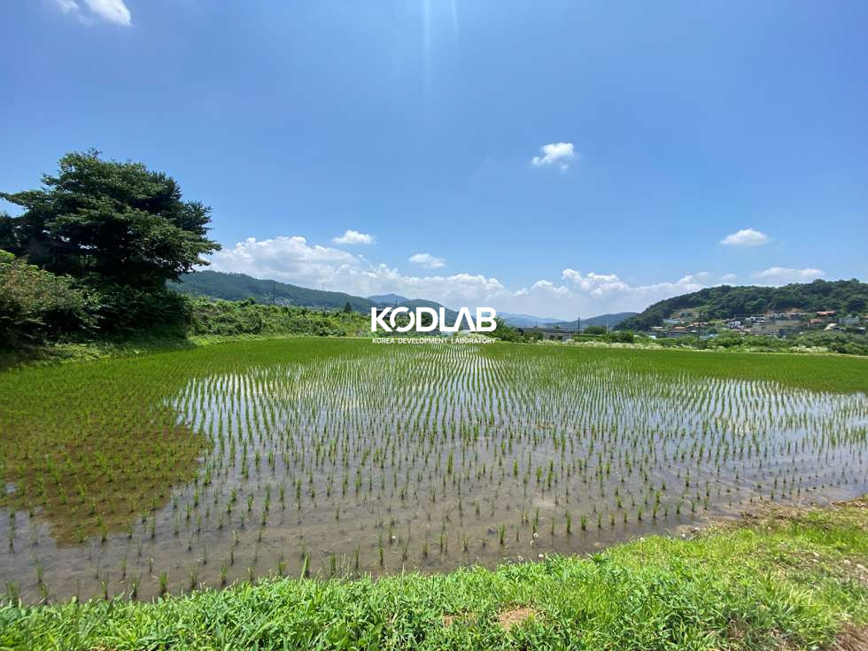 경기 양평군 옥천면 옥천리 평당 70만원, 옥천리 토지 700평 시세보다 저렴한 토지 매매 매물번호 11762 사진 4