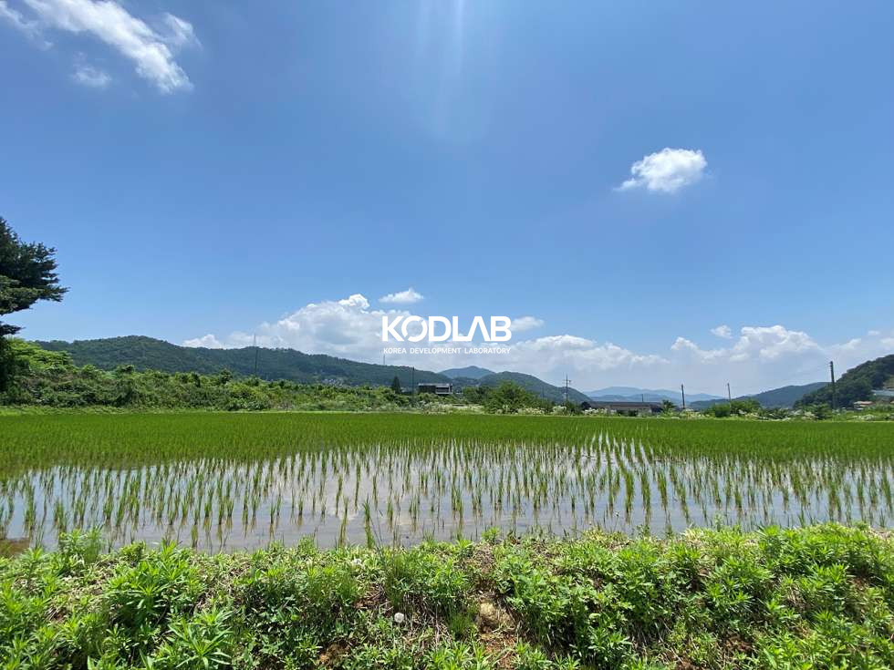 경기 양평군 옥천면 옥천리 평당 70만원, 옥천리 토지 700평 시세보다 저렴한 토지 매매 매물번호 11762 사진 7
