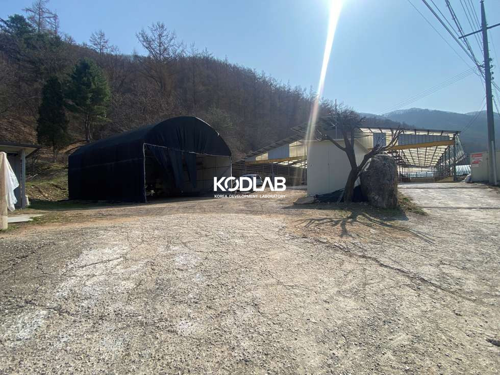 경기 양평군 단월면 삼가리 단월면 생활권 차량 6분, 축사로 사용했던 건축물 있음 매매 매물번호 11275 사진 13