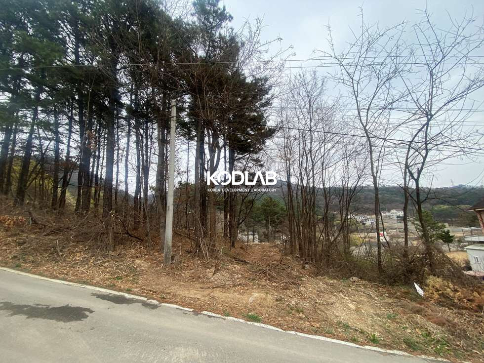 경기 양평군 양평읍 백안리 양평읍 생활권 차량 8분, 전망 트인 백안리 평당 150만원 토지 매매 매물번호 11229 사진 16