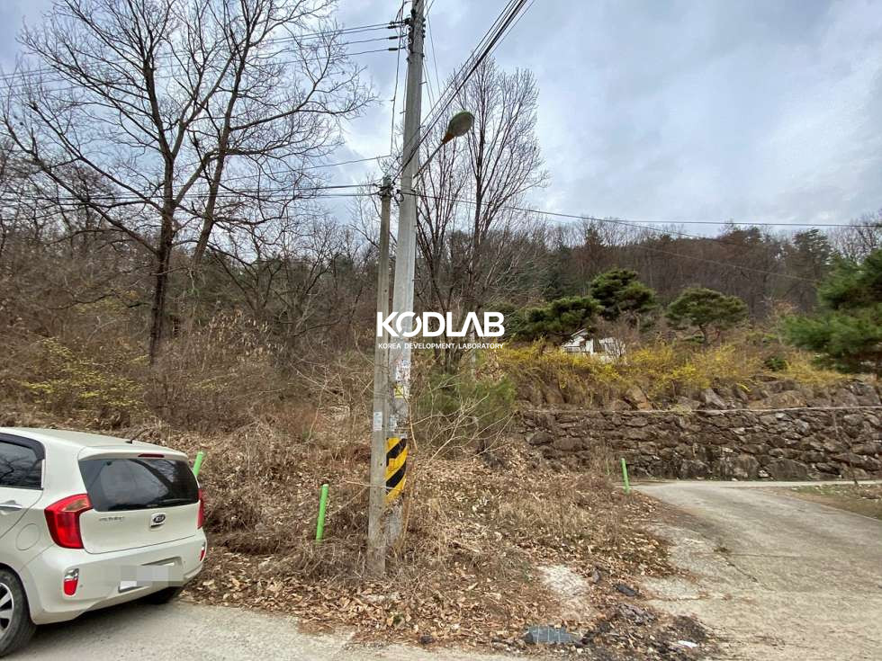 경기 양평군 강상면 대석리 평당 29만원 4180평 강상면 토지, 도로접한 자연림 상태 매매 매물번호 11227 사진 8