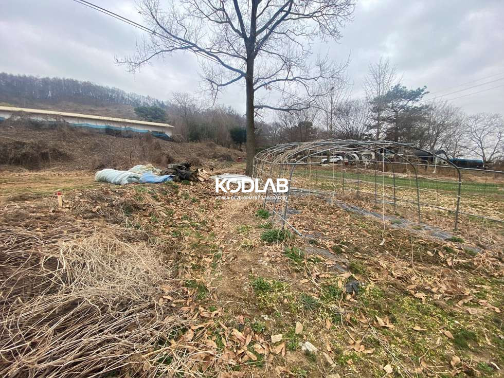 경기 양평군 지평면 옥현리 평당 50만원, 분할 되는 생활권 가까운 지평면 토지 매매 매물번호 11209 사진 3