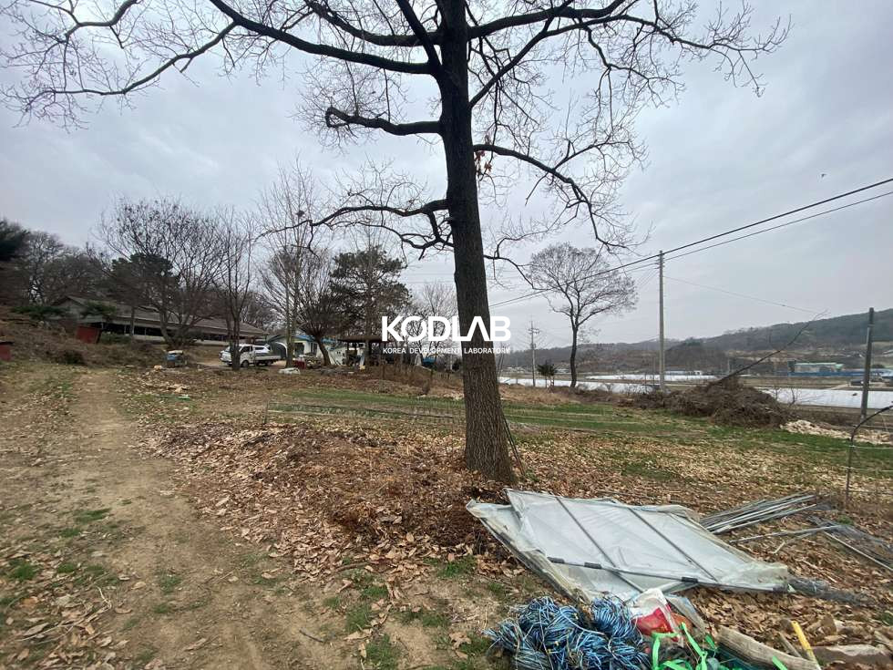 경기 양평군 지평면 옥현리 평당 50만원, 분할 되는 생활권 가까운 지평면 토지 매매 매물번호 11209 사진 15