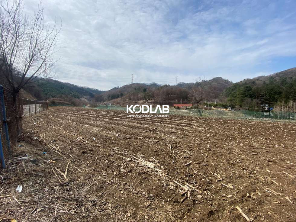 경기 양평군 단월면 명성리 2차선 지방도와 접해있는 단월면 평당 24만원 토지 매매 매물번호 11180 사진 1