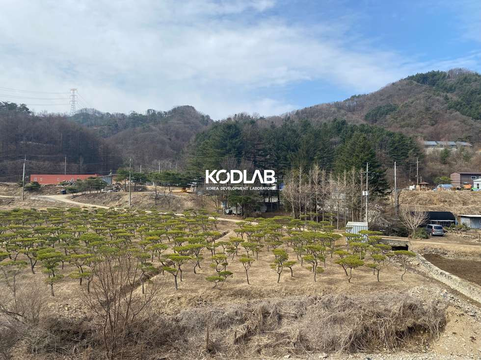 경기 양평군 단월면 명성리 2차선 지방도와 접해있는 단월면 평당 24만원 토지 매매 매물번호 11180 사진 6