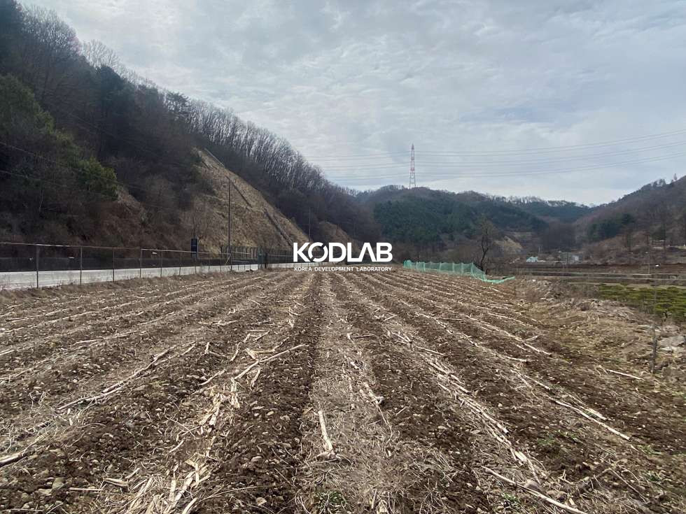 경기 양평군 단월면 명성리 2차선 지방도와 접해있는 단월면 평당 24만원 토지 매매 매물번호 11180 사진 7