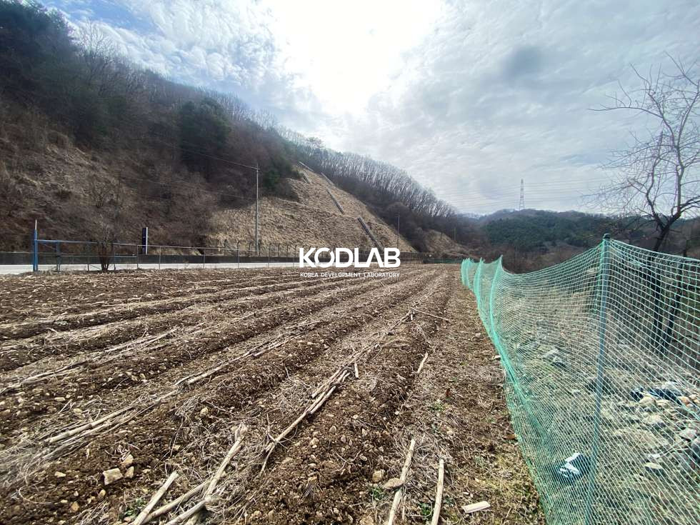 경기 양평군 단월면 명성리 2차선 지방도와 접해있는 단월면 평당 24만원 토지 매매 매물번호 11180 사진 11