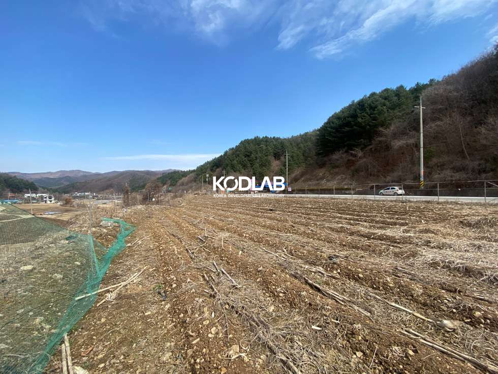 경기 양평군 단월면 명성리 2차선 지방도와 접해있는 단월면 평당 24만원 토지 매매 매물번호 11180 사진 12
