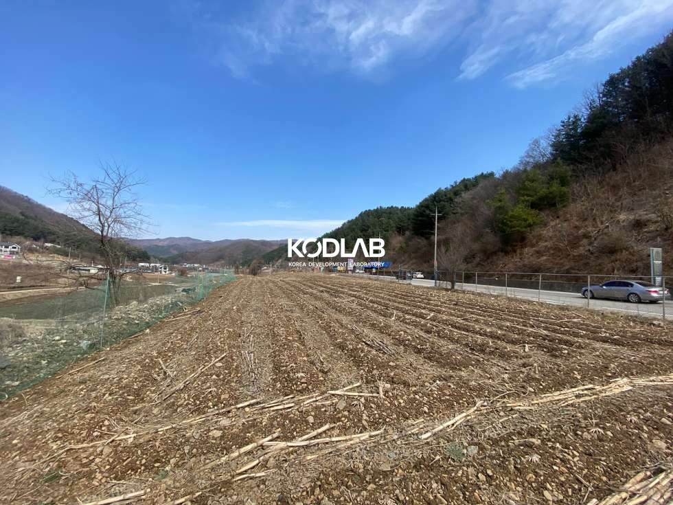 경기 양평군 단월면 명성리 2차선 지방도와 접해있는 단월면 평당 24만원 토지 매매 매물번호 11180 사진 13