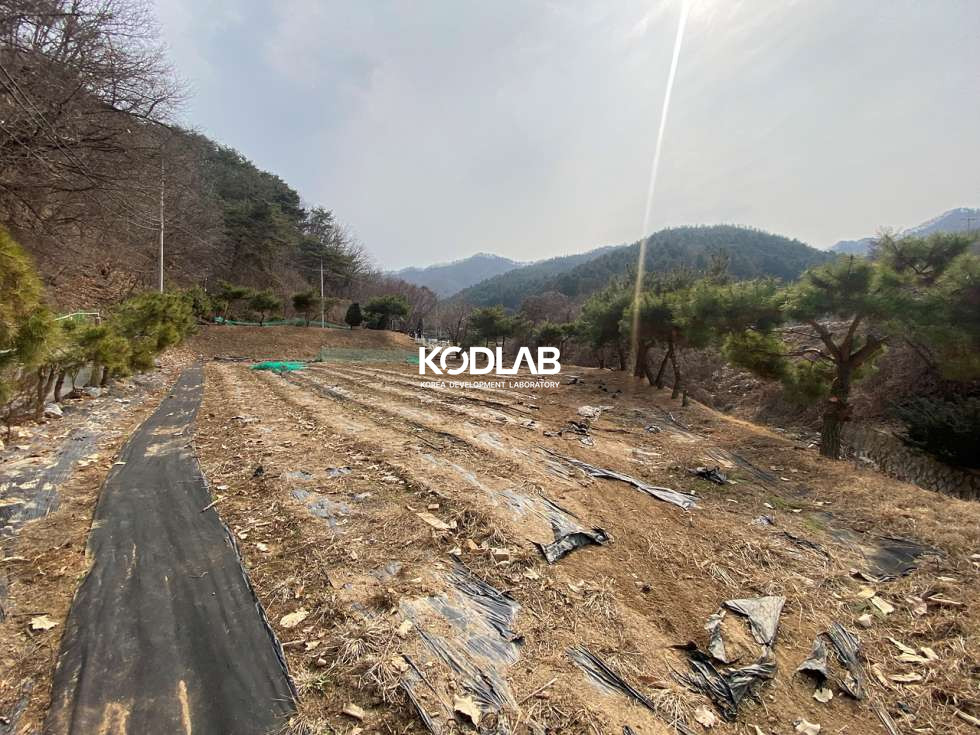 경기 양평군 청운면 갈운리 청운면 생활권 차량 8분, 분할매매 가능한 평당 58만원 토지 매매 매물번호 11161 사진 3