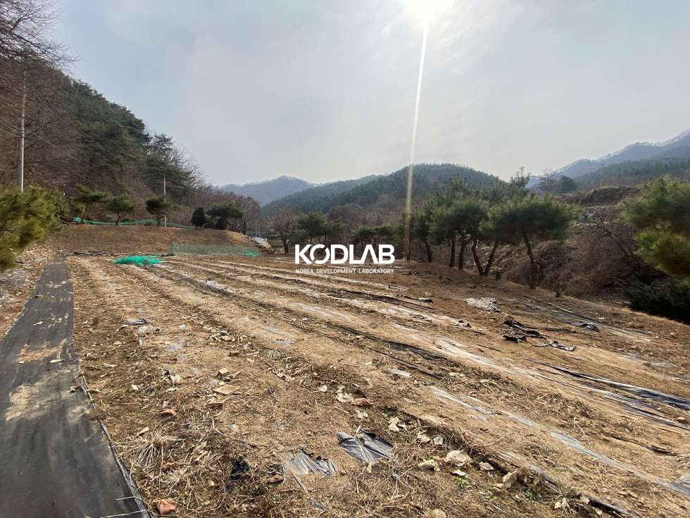 경기 양평군 청운면 갈운리 청운면 생활권 차량 8분, 분할매매 가능한 평당 58만원 토지 매매 매물번호 11161 사진 4