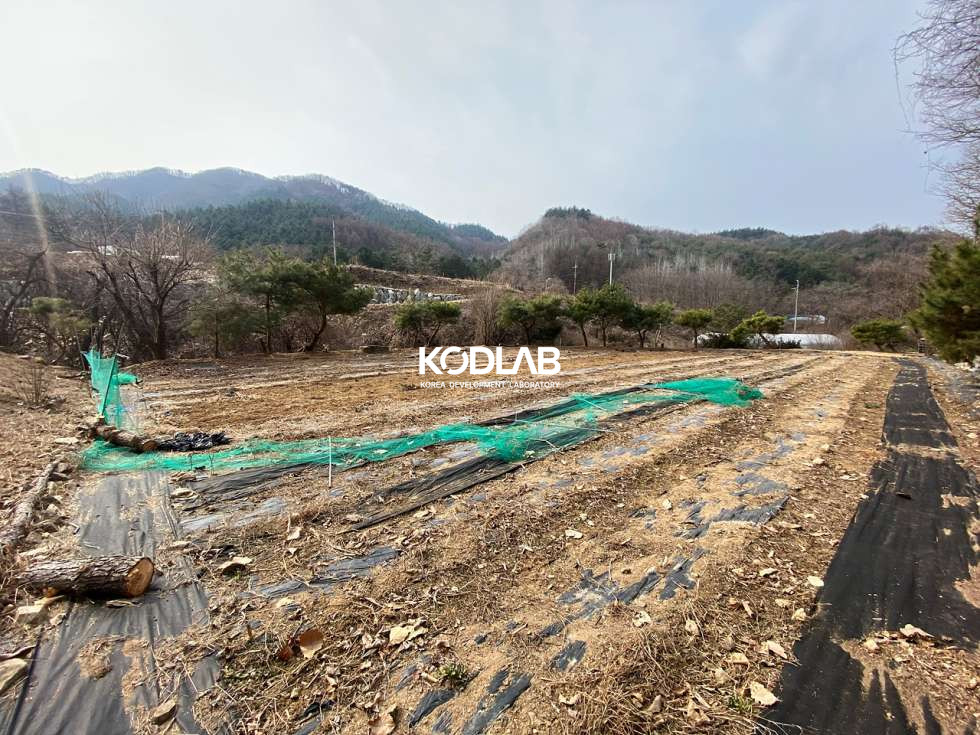 경기 양평군 청운면 갈운리 청운면 생활권 차량 8분, 분할매매 가능한 평당 58만원 토지 매매 매물번호 11161 사진 5