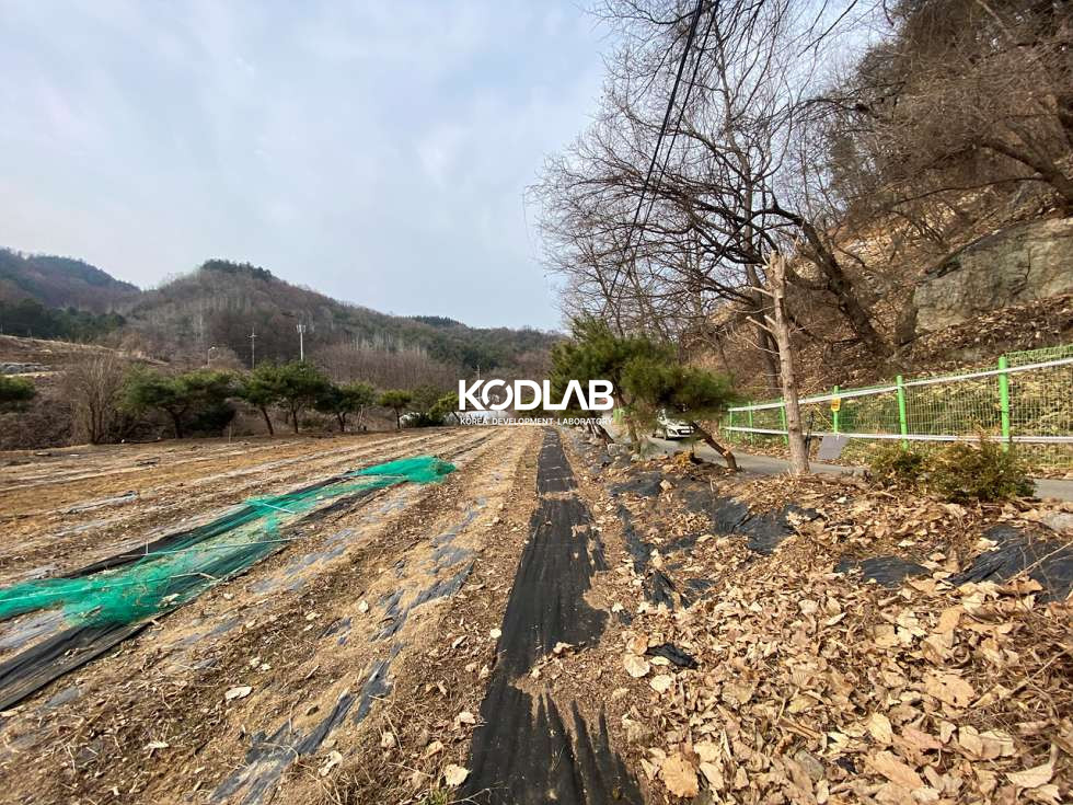 경기 양평군 청운면 갈운리 청운면 생활권 차량 8분, 분할매매 가능한 평당 58만원 토지 매매 매물번호 11161 사진 7