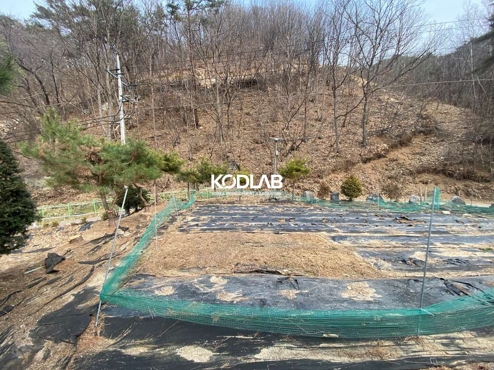 경기 양평군 청운면 갈운리 청운면 생활권 차량 8분, 분할매매 가능한 평당 58만원 토지 매매 매물번호 11161 사진 10