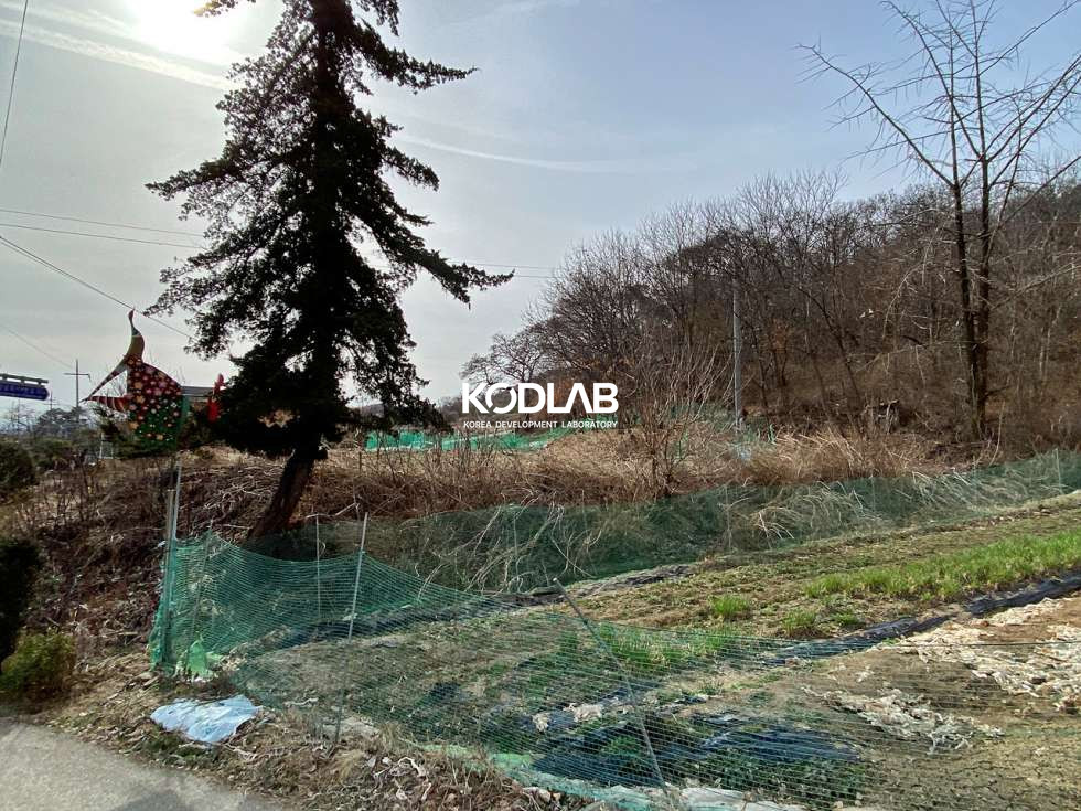 경기 양평군 강상면 송학리 강상면 평당 63만원, 송학리 큰평수의 토지 매매 매물번호 11158 사진 11