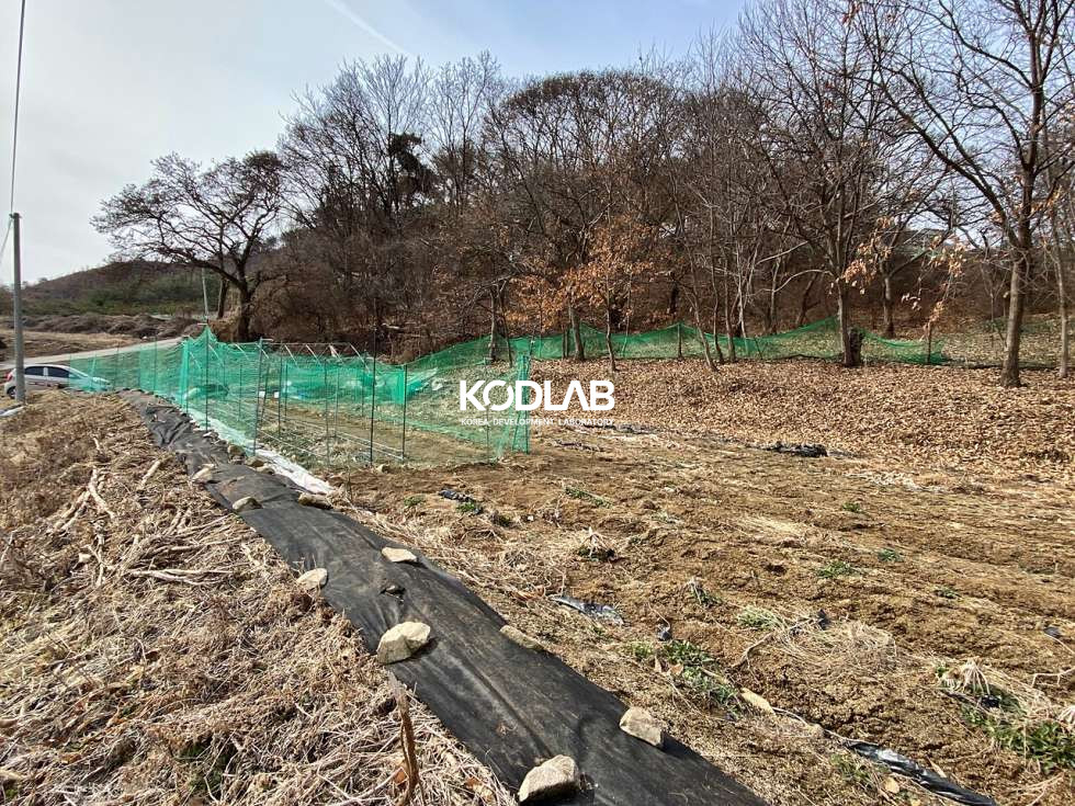 경기 양평군 강상면 송학리 강상면 평당 63만원, 송학리 큰평수의 토지 매매 매물번호 11158 사진 14
