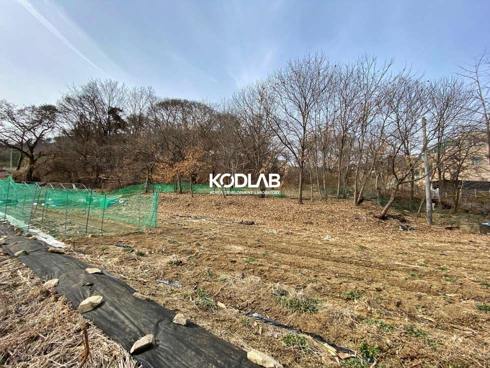 경기 양평군 강상면 송학리 강상면 평당 63만원, 송학리 큰평수의 토지 매매 매물번호 11158 사진 19