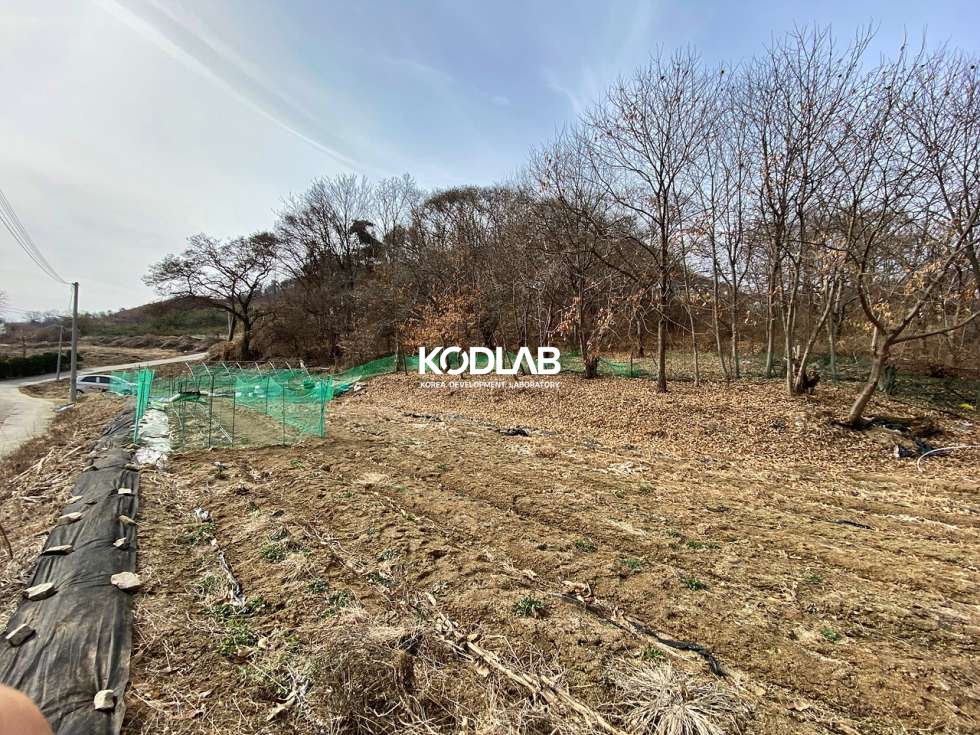 경기 양평군 강상면 송학리 강상면 평당 63만원, 송학리 큰평수의 토지 매매 매물번호 11158 사진 22