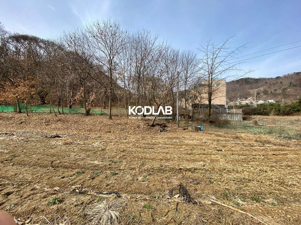 경기 양평군 강상면 송학리 강상면 평당 63만원, 송학리 큰평수의 토지 매매 매물번호 11158 사진 23