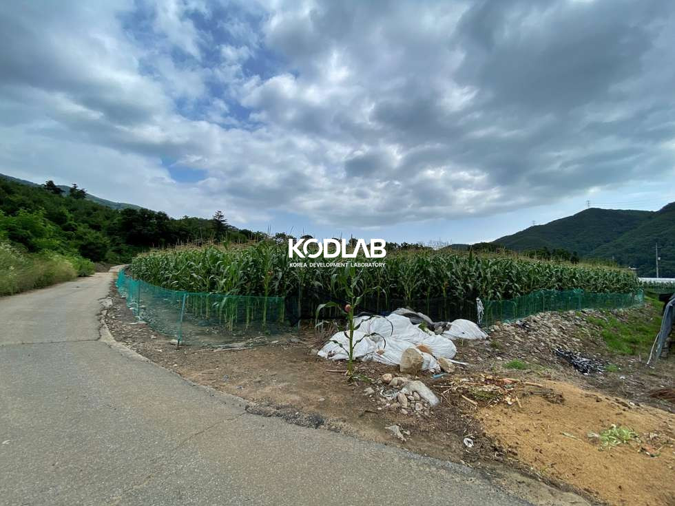 경기 양평군 강상면 평지의 강상면 토지, 평당 140만원의 500평대 매매 매물번호 11771 사진 14