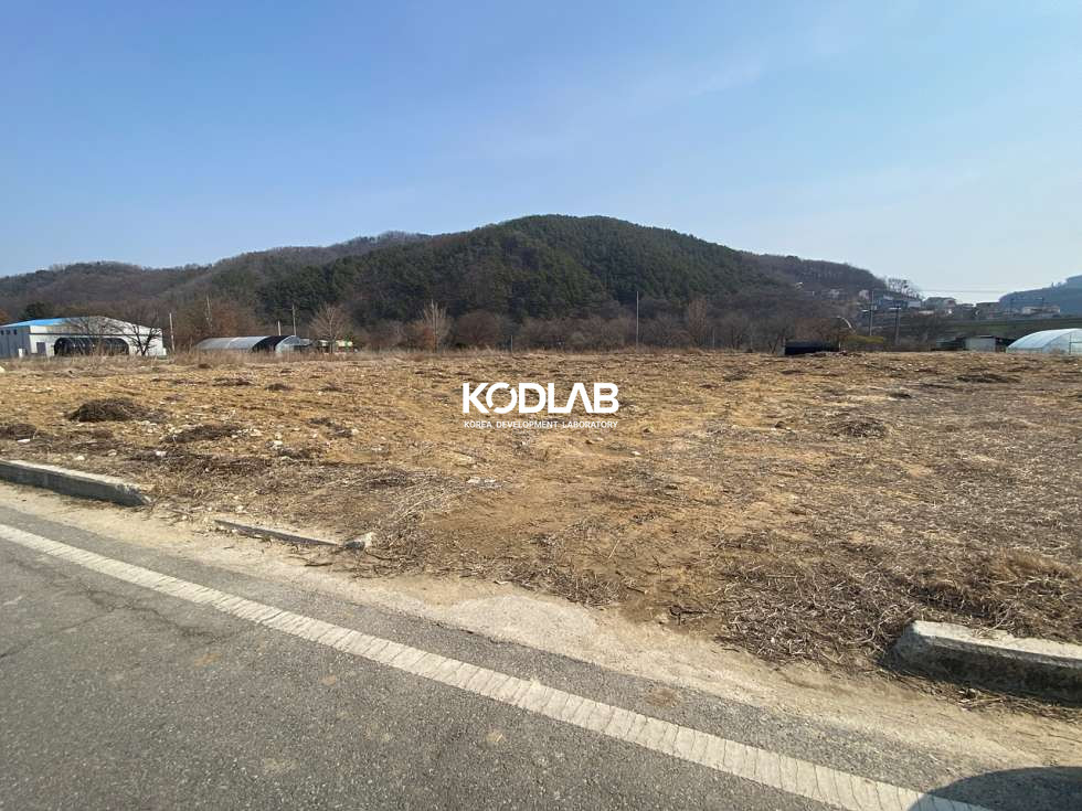 경기 양평군 용문면 마룡리 용문 중심 상권 모두! 도보이용 가능한 입지 좋은 토지 654평 매매 매물번호 11083 사진 4