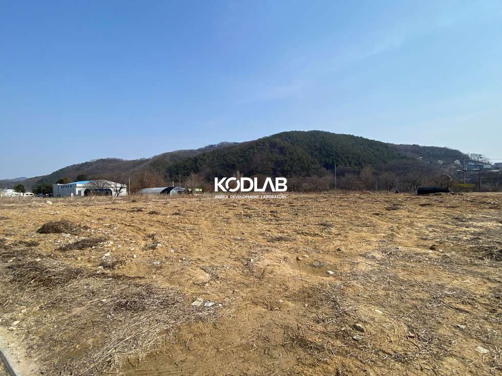 경기 양평군 용문면 마룡리 용문 중심 상권 모두! 도보이용 가능한 입지 좋은 토지 654평 매매 매물번호 11083 사진 5