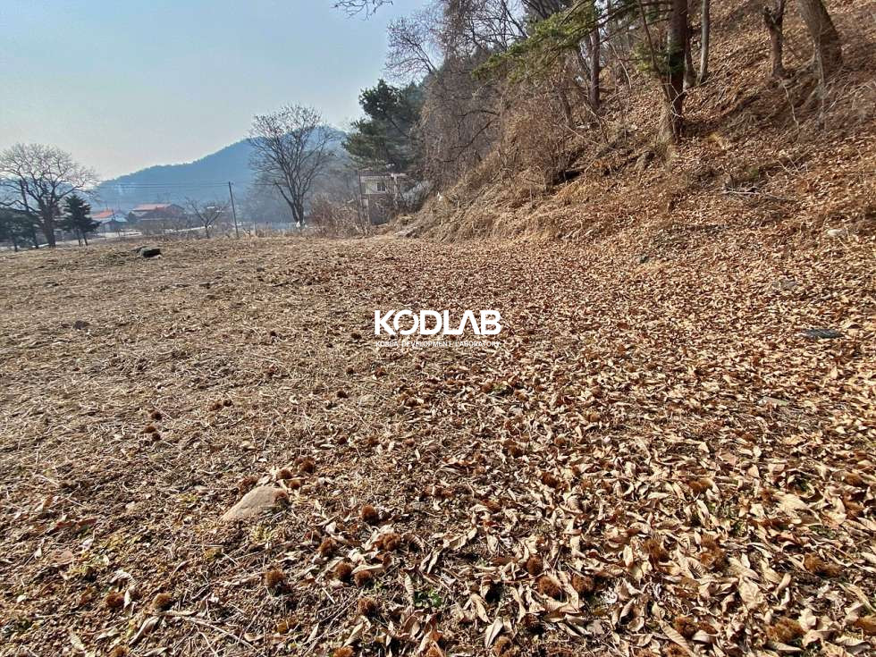 경기 양평군 용문면 덕촌리 용문면 238평 용문천 인근 자연친화적인 토지 매매 매물번호 11074 사진 19