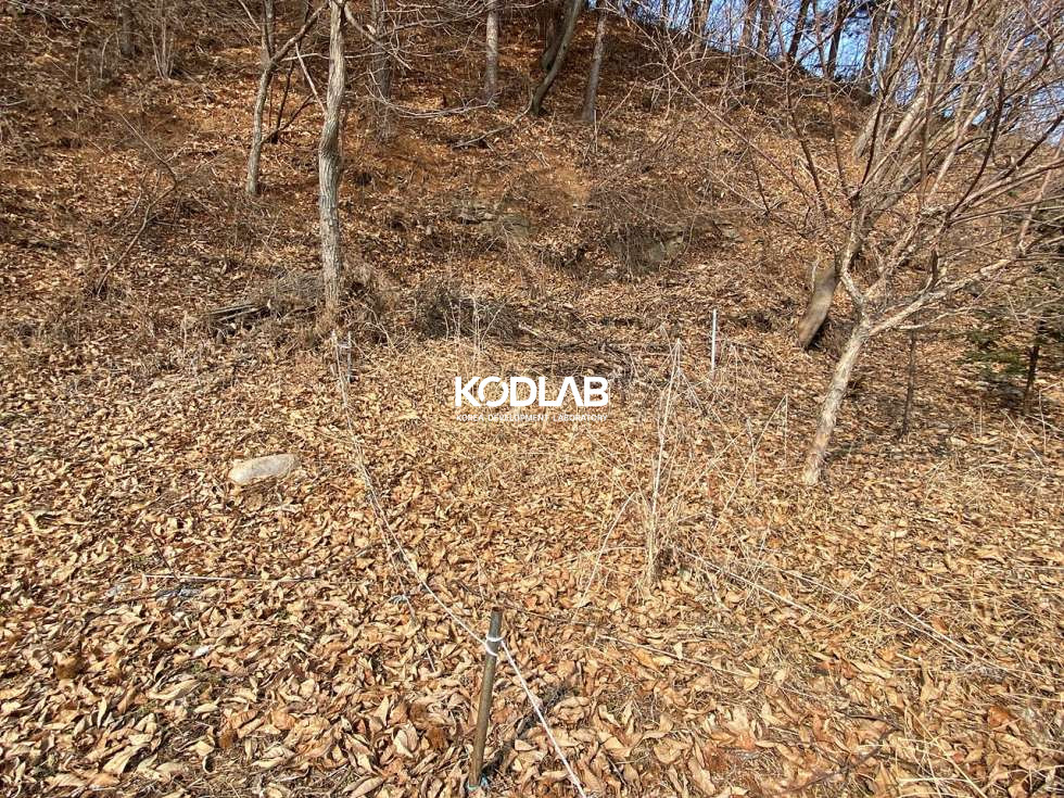 경기 양평군 용문면 덕촌리 용문면 238평 용문천 인근 자연친화적인 토지 매매 매물번호 11074 사진 22
