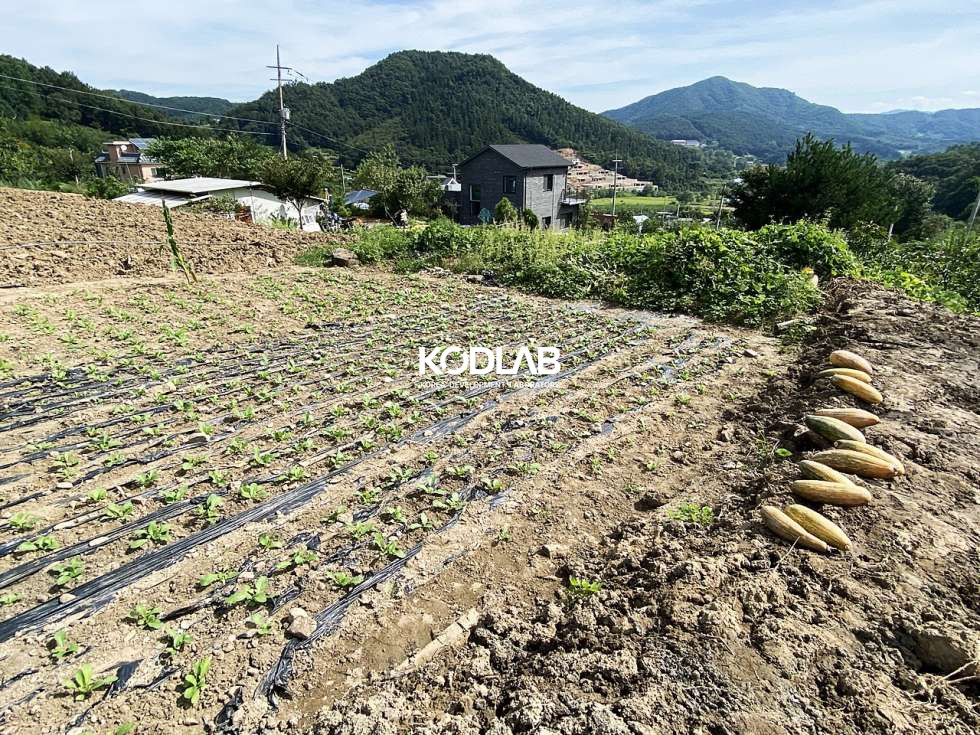 경기 양평군 지평면 옥현리 지평역 10분거리 평당 105만원 평지의 전원주택지 매매 매물번호 10623 사진 14