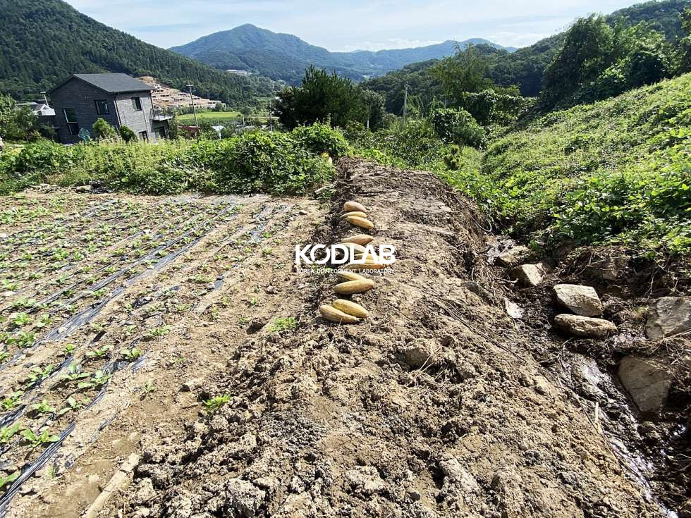 경기 양평군 지평면 옥현리 지평역 10분거리 평당 105만원 평지의 전원주택지 매매 매물번호 10623 사진 15