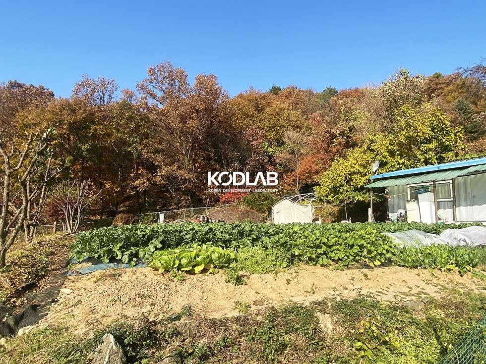 경기 양평군 강상면 대석리 2차선 도로 차량4분, 평당 110만원 강상면 투자 목적용 토지 매매 매물번호 10663 사진 5